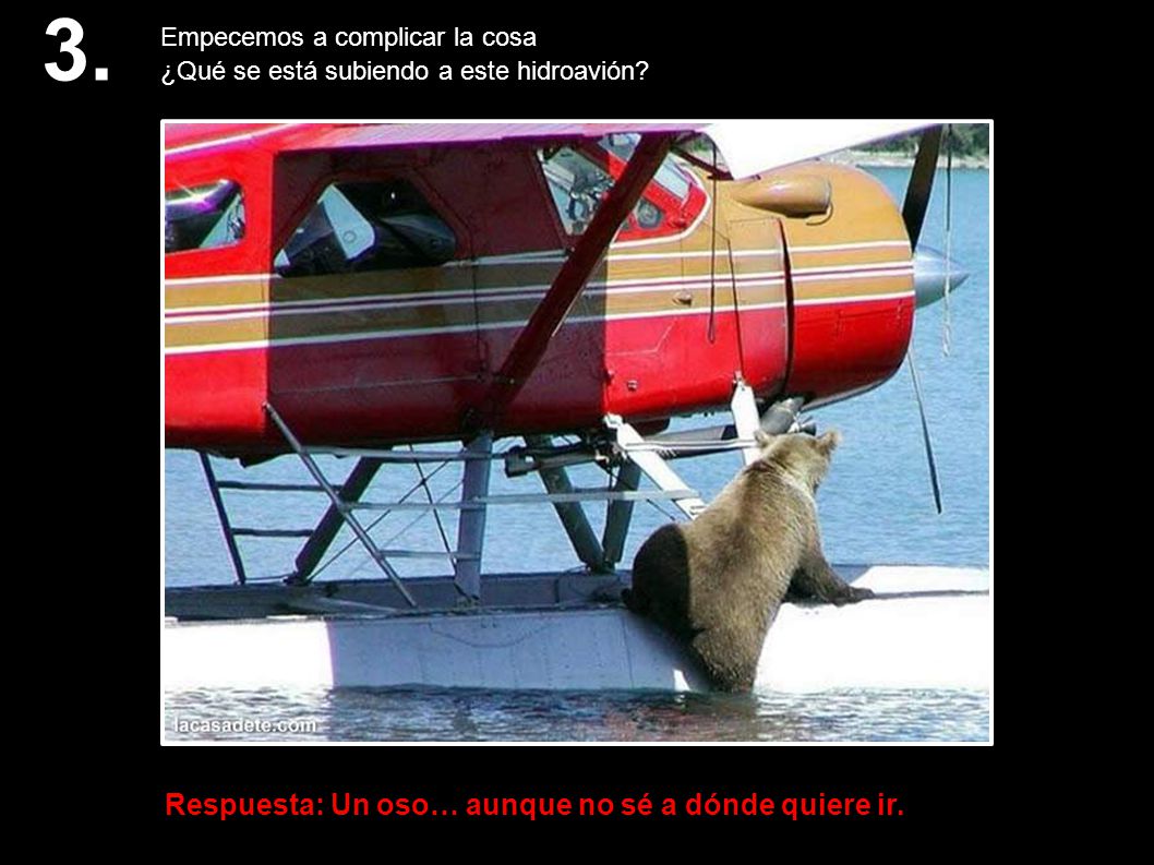 3. Respuesta: Un oso… aunque no sé a dónde quiere ir.‏