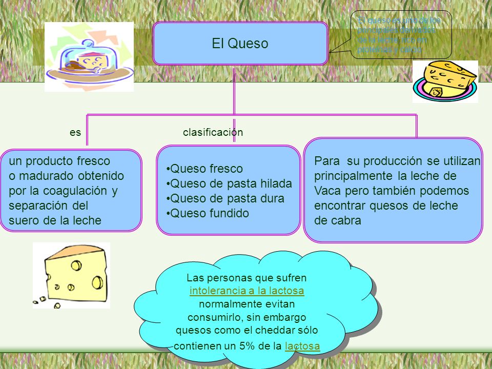 El Queso . Para su producción se utilizan principalmente la leche de
