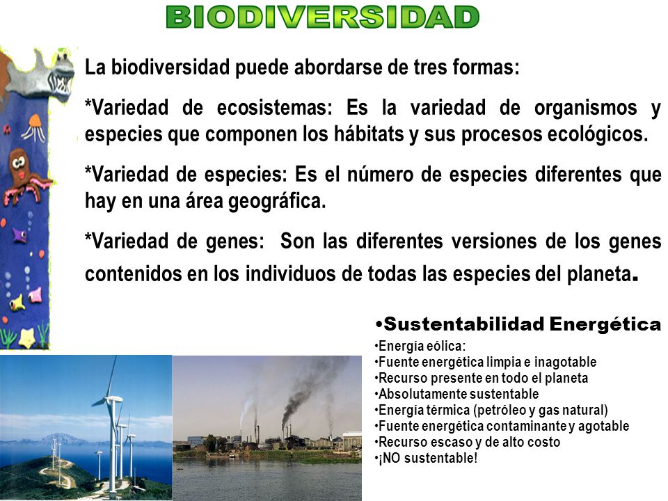 BIODIVERSIDAD La biodiversidad puede abordarse de tres formas: