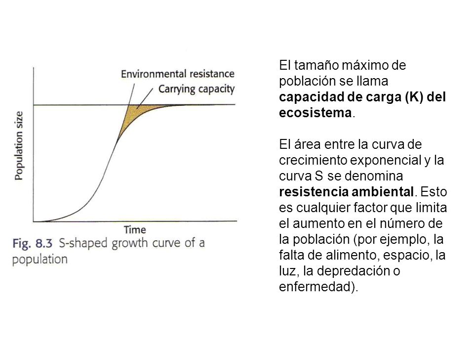 El tamaño máximo de población se llama capacidad de carga (K) del ecosistema.