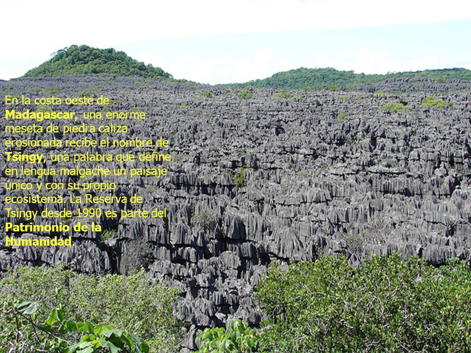 En la costa oeste de Madagascar, una enorme meseta de piedra caliza erosionada recibe el nombre de Tsingy, una palabra que define en lengua malgache un paisaje único y con su propio ecosistema.