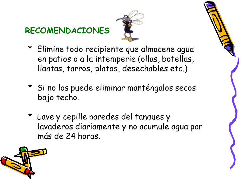 RECOMENDACIONES * Elimine todo recipiente que almacene agua en patios o a la intemperie (ollas, botellas, llantas, tarros, platos, desechables etc.)