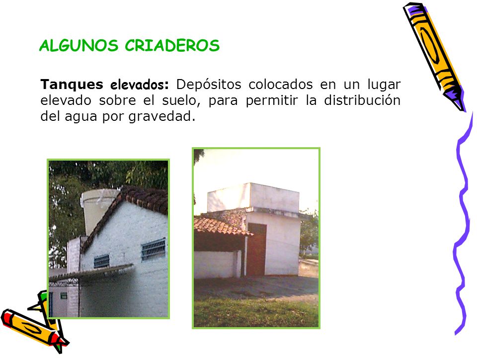 ALGUNOS CRIADEROS Tanques elevados: Depósitos colocados en un lugar elevado sobre el suelo, para permitir la distribución del agua por gravedad.
