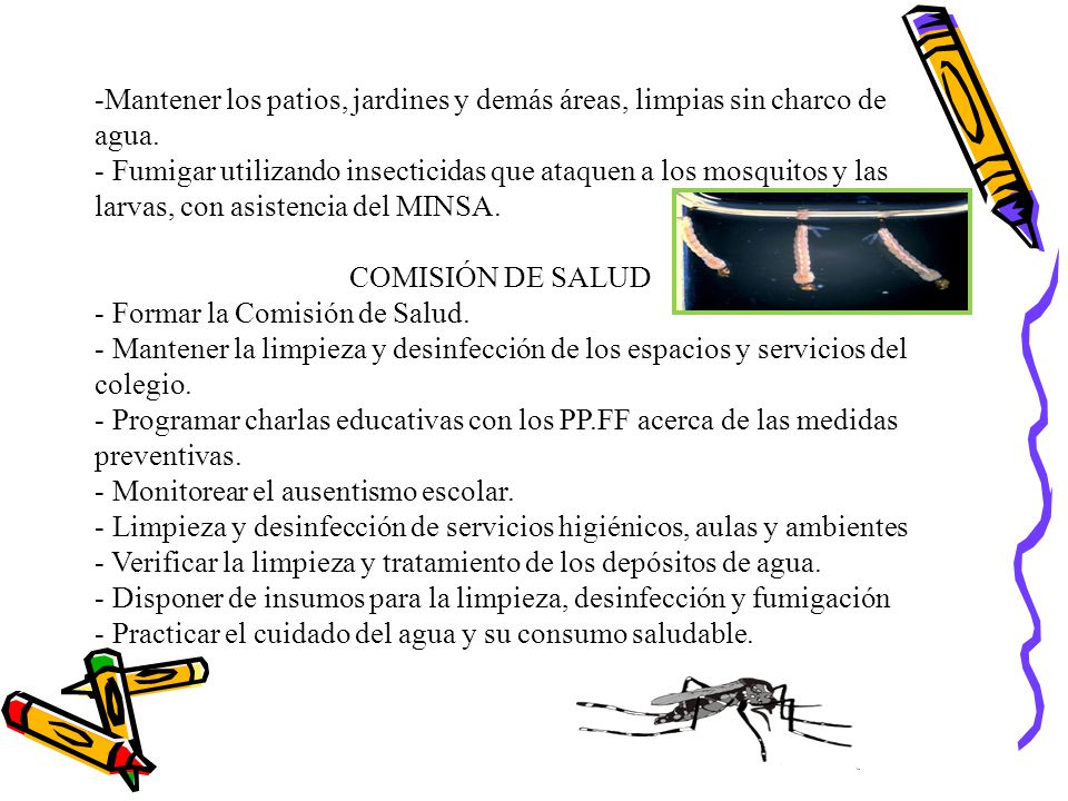Mantener los patios, jardines y demás áreas, limpias sin charco de agua.