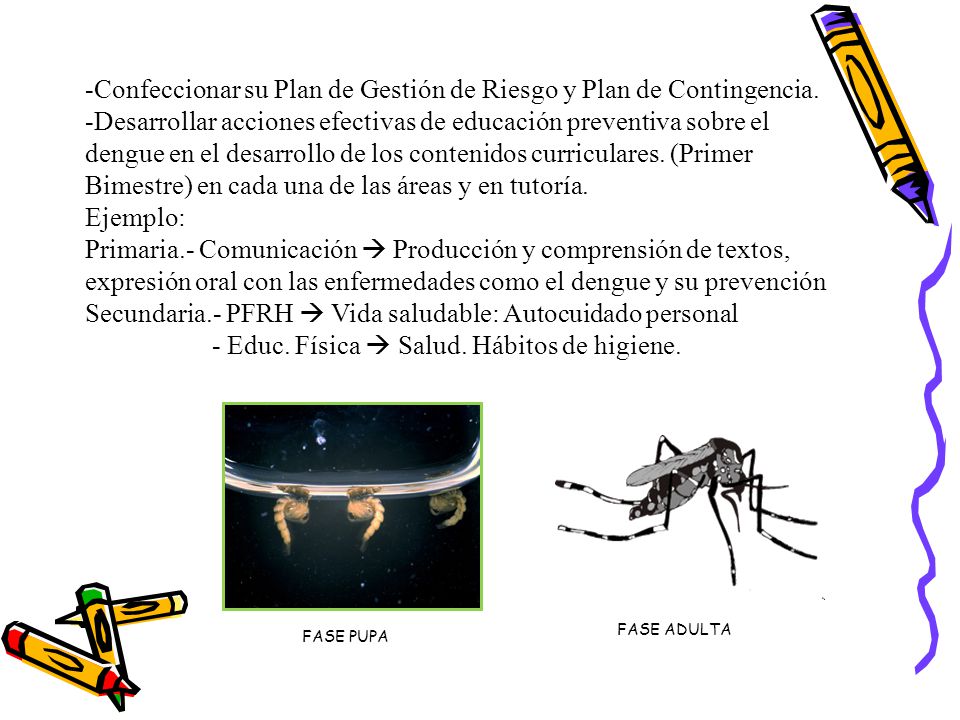 Confeccionar su Plan de Gestión de Riesgo y Plan de Contingencia.