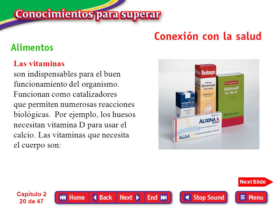 Las vitaminas son indispensables para el buen funcionamiento del organismo. Funcionan como catalizadores.