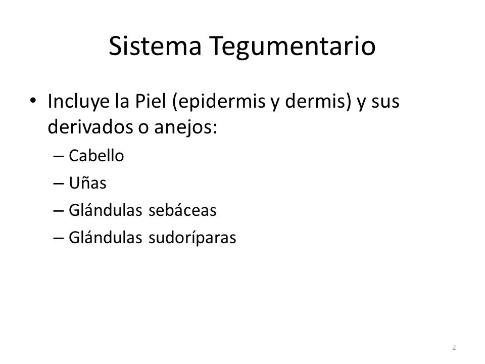 Sistema Tegumentario Incluye la Piel (epidermis y dermis) y sus derivados o anejos: Cabello. Uñas.
