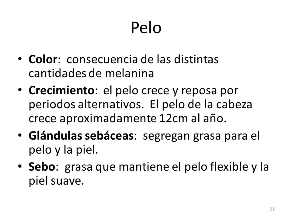 Pelo Color: consecuencia de las distintas cantidades de melanina
