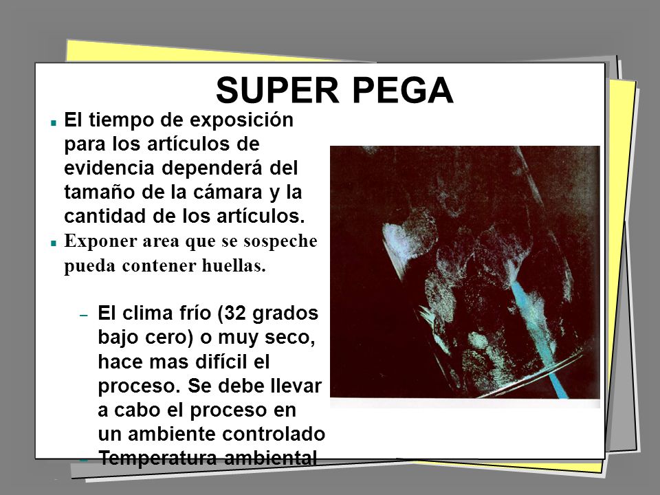 SUPER PEGA El tiempo de exposición para los artículos de evidencia dependerá del tamaño de la cámara y la cantidad de los artículos.
