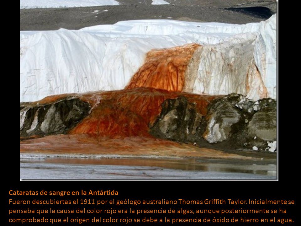 Cataratas de sangre en la Antártida Fueron descubiertas el 1911 por el geólogo australiano Thomas Griffith Taylor.