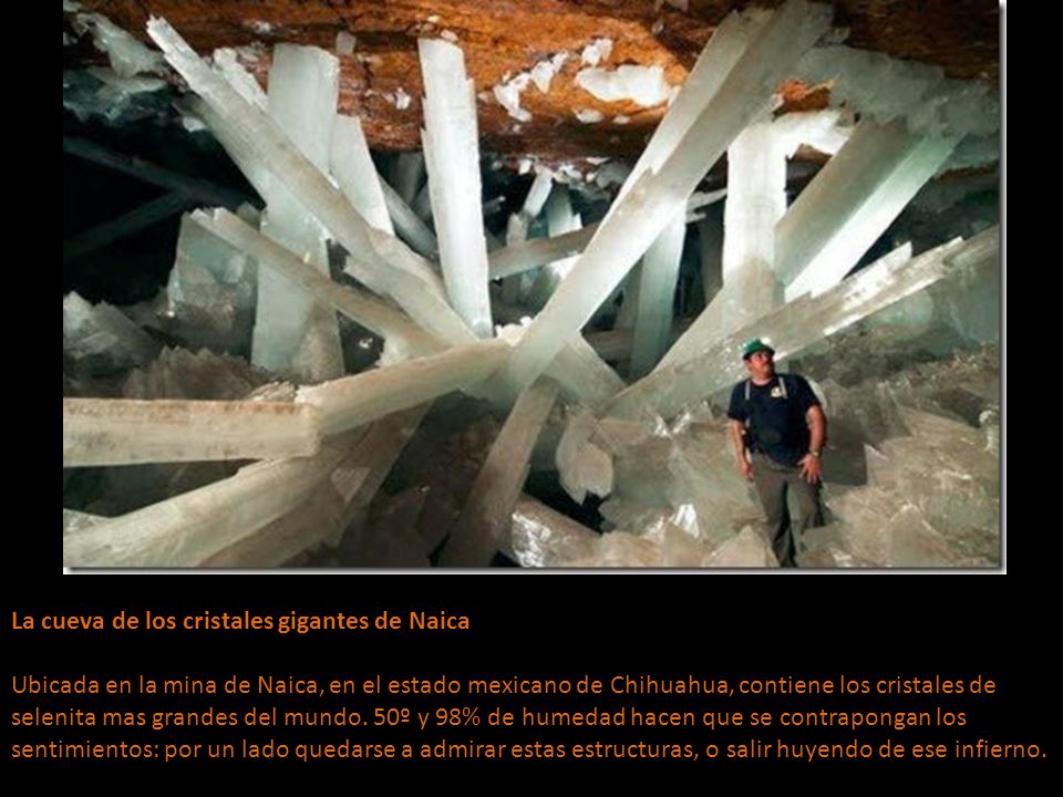 La cueva de los cristales gigantes de Naica Ubicada en la mina de Naica, en el estado mexicano de Chihuahua, contiene los cristales de selenita mas grandes del mundo.