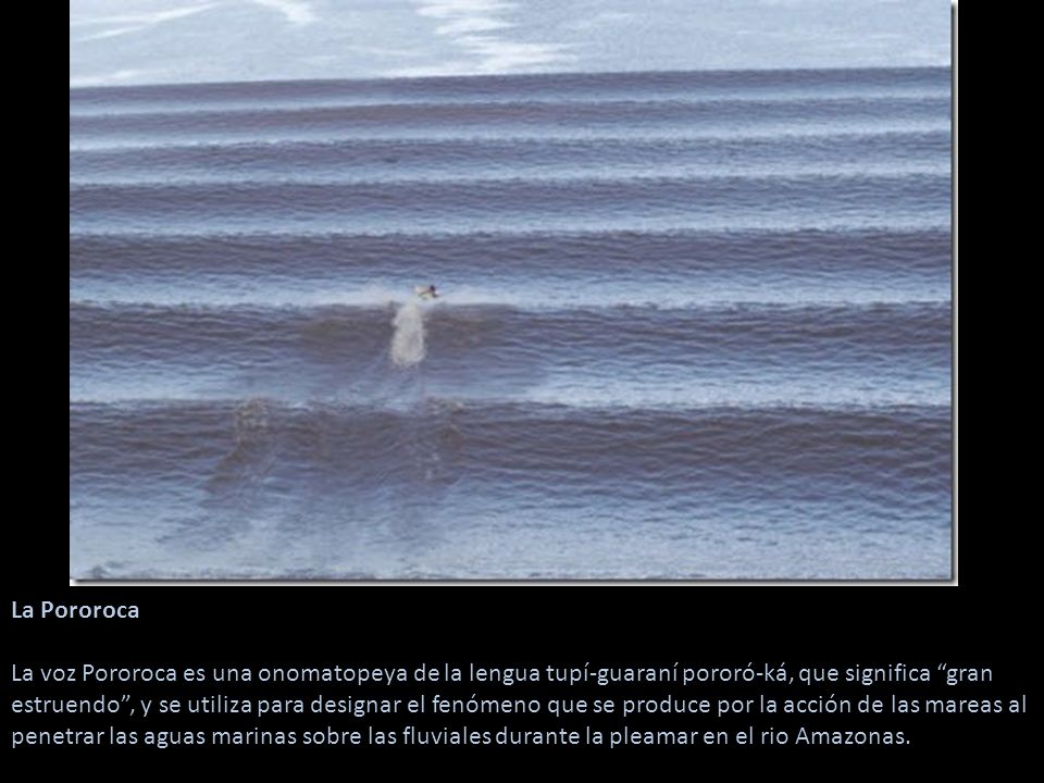 La Pororoca La voz Pororoca es una onomatopeya de la lengua tupí-guaraní pororó-ká, que significa gran estruendo , y se utiliza para designar el fenómeno que se produce por la acción de las mareas al penetrar las aguas marinas sobre las fluviales durante la pleamar en el rio Amazonas.