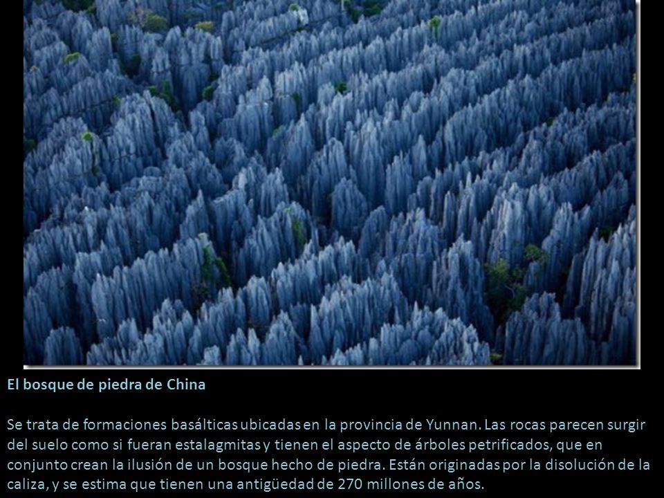 El bosque de piedra de China Se trata de formaciones basálticas ubicadas en la provincia de Yunnan.