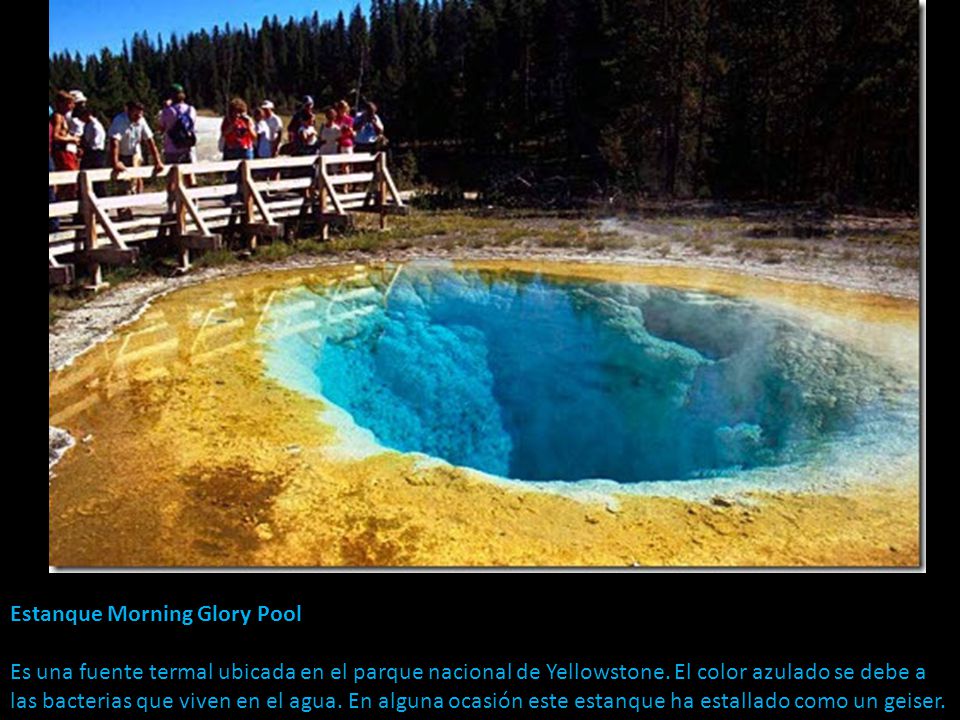 Estanque Morning Glory Pool Es una fuente termal ubicada en el parque nacional de Yellowstone.