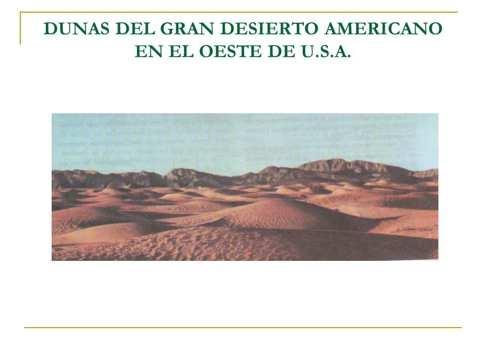 DUNAS DEL GRAN DESIERTO AMERICANO EN EL OESTE DE U.S.A.