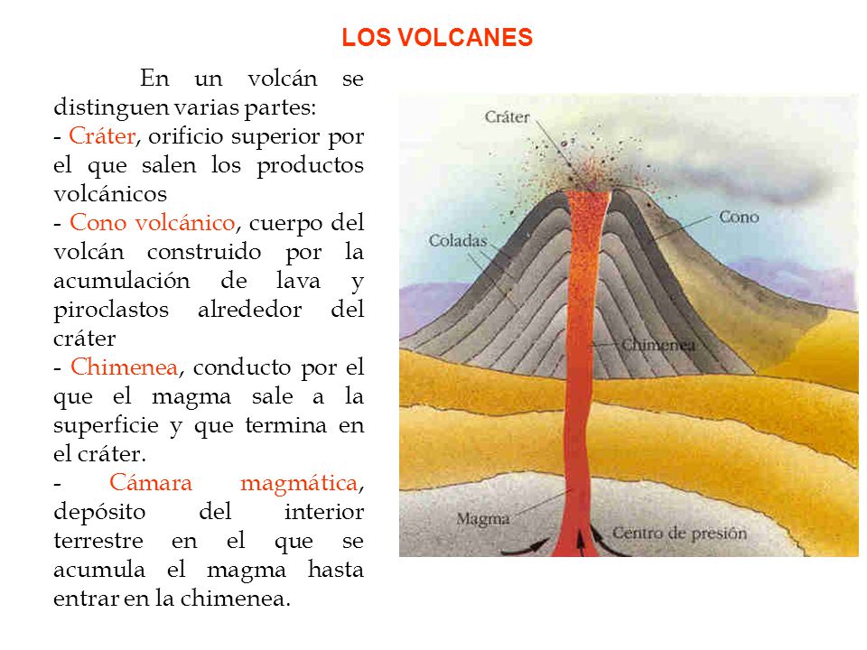 LOS VOLCANES En un volcán se distinguen varias partes: - Cráter, orificio superior por el que salen los productos volcánicos.