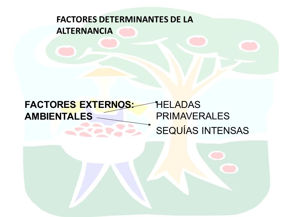 FACTORES DETERMINANTES DE LA