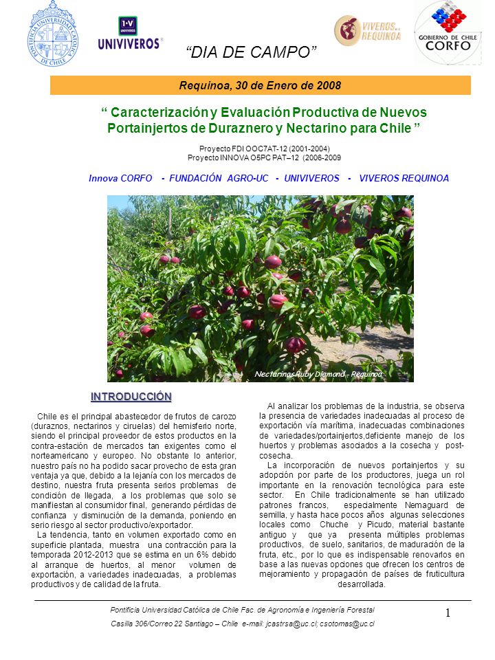 Innova CORFO - FUNDACIÓN AGRO-UC - UNIVIVEROS - VIVEROS REQUINOA