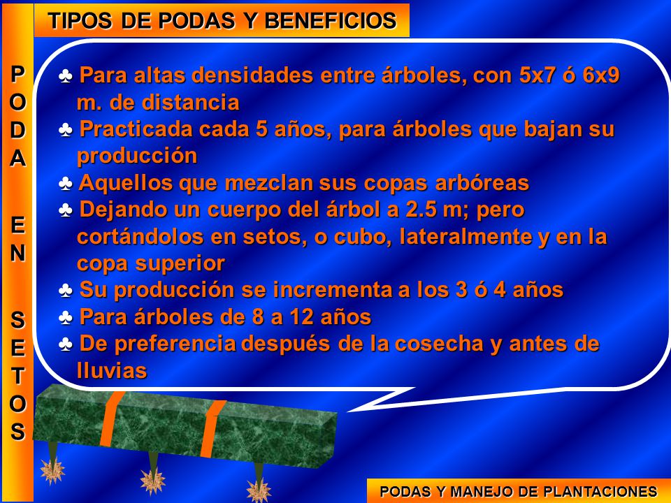 TIPOS DE PODAS Y BENEFICIOS PODAS Y MANEJO DE PLANTACIONES