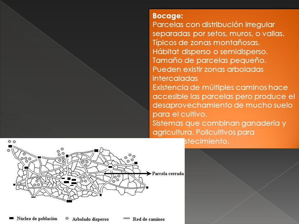 Bocage: Parcelas con distribución irregular separadas por setos, muros, o vallas. Típicos de zonas montañosas.