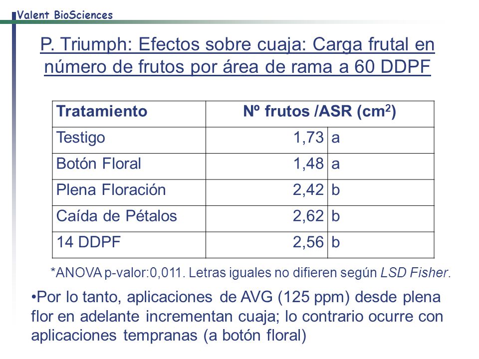 P. Triumph: Efectos sobre cuaja: Carga frutal en número de frutos por área de rama a 60 DDPF