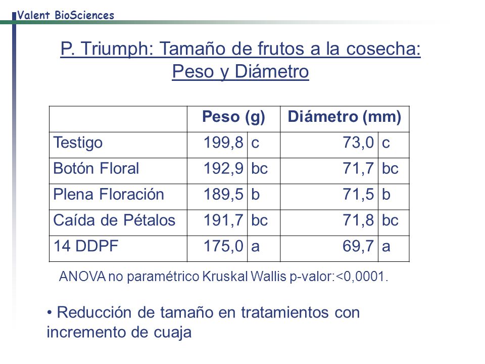 P. Triumph: Tamaño de frutos a la cosecha: Peso y Diámetro