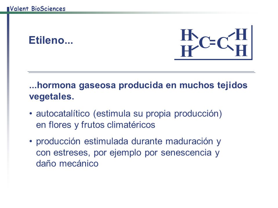 C H. Etileno hormona gaseosa producida en muchos tejidos vegetales.