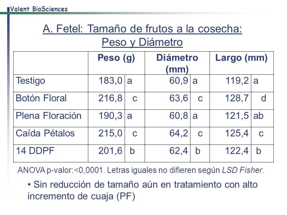 A. Fetel: Tamaño de frutos a la cosecha: Peso y Diámetro