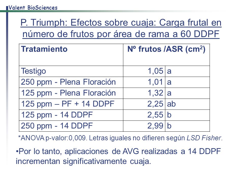 P. Triumph: Efectos sobre cuaja: Carga frutal en número de frutos por área de rama a 60 DDPF