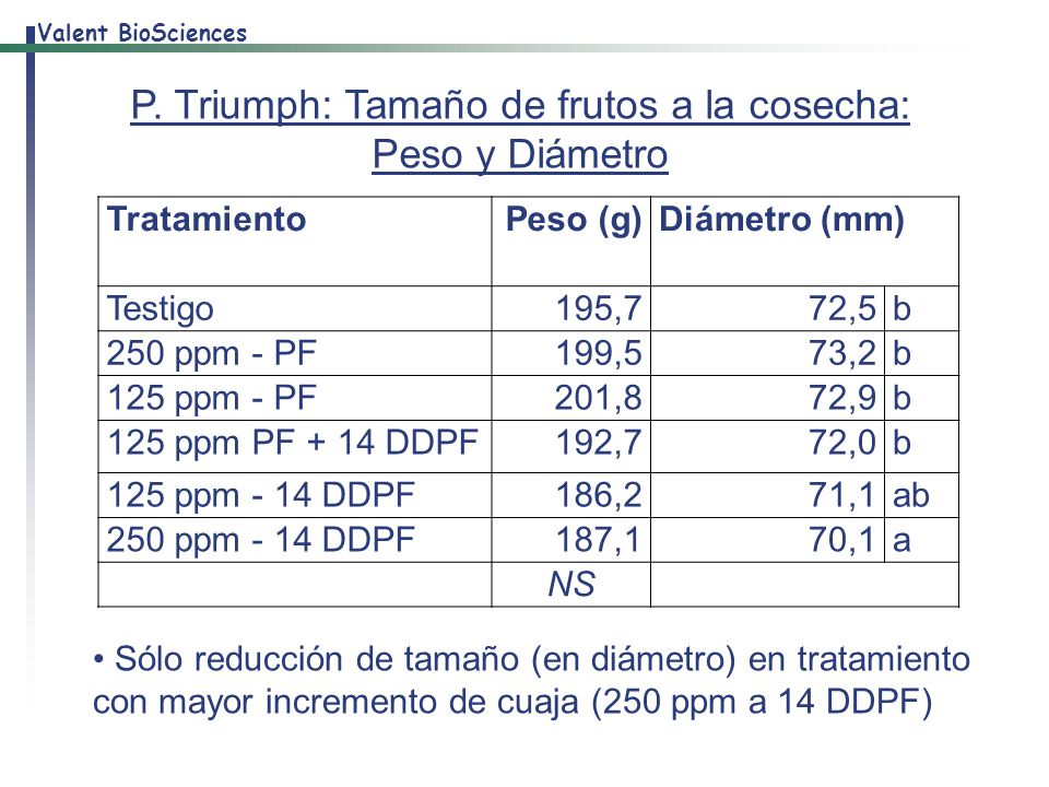 P. Triumph: Tamaño de frutos a la cosecha: Peso y Diámetro