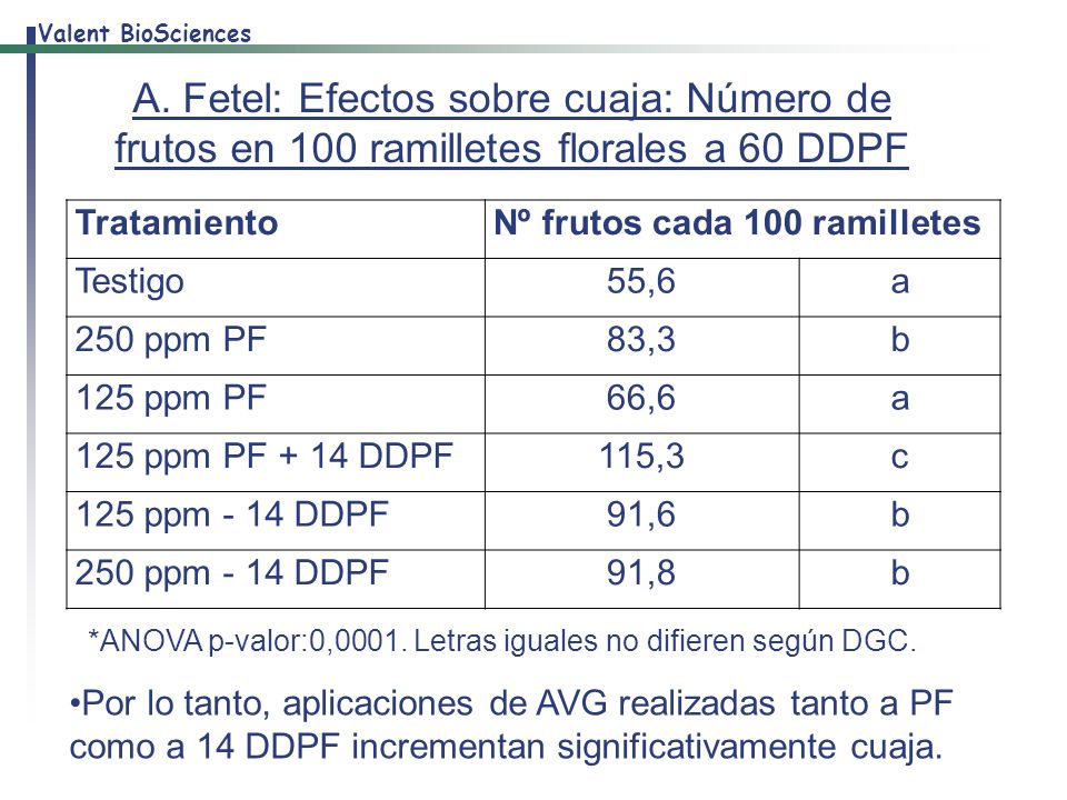 A. Fetel: Efectos sobre cuaja: Número de frutos en 100 ramilletes florales a 60 DDPF