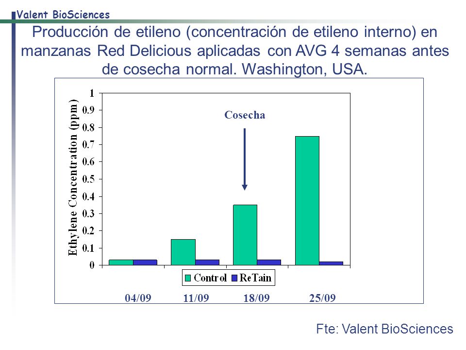 Producción de etileno (concentración de etileno interno) en manzanas Red Delicious aplicadas con AVG 4 semanas antes de cosecha normal. Washington, USA.