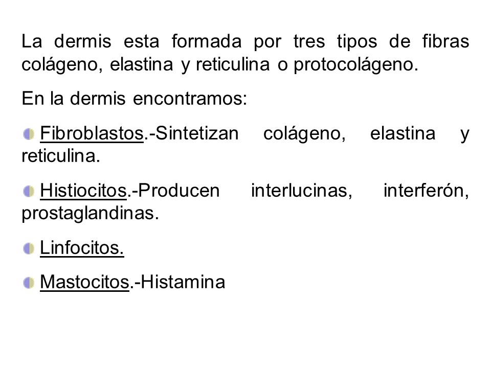 La dermis esta formada por tres tipos de fibras colágeno, elastina y reticulina o protocolágeno.