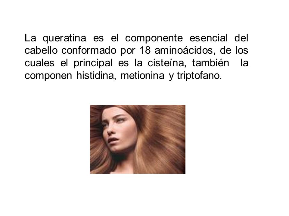 La queratina es el componente esencial del cabello conformado por 18 aminoácidos, de los cuales el principal es la cisteína, también la componen histidina, metionina y triptofano.