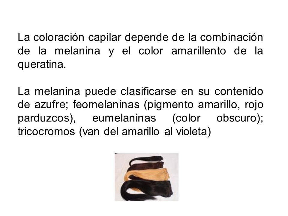 La coloración capilar depende de la combinación de la melanina y el color amarillento de la queratina.