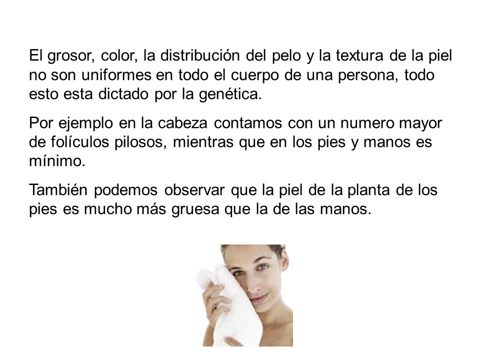 El grosor, color, la distribución del pelo y la textura de la piel no son uniformes en todo el cuerpo de una persona, todo esto esta dictado por la genética.