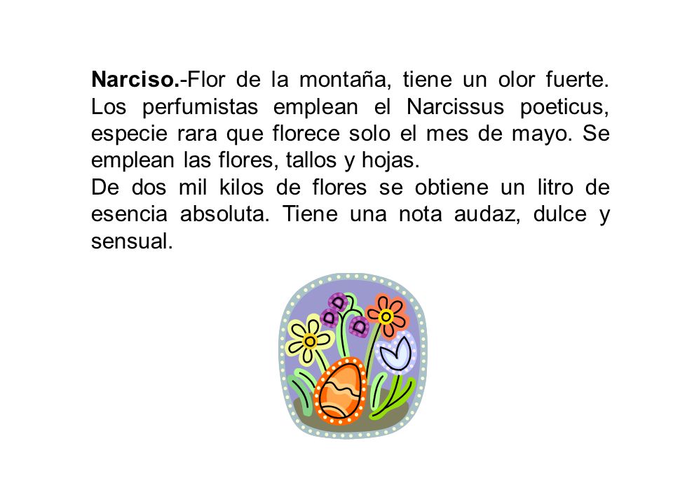 Narciso. -Flor de la montaña, tiene un olor fuerte