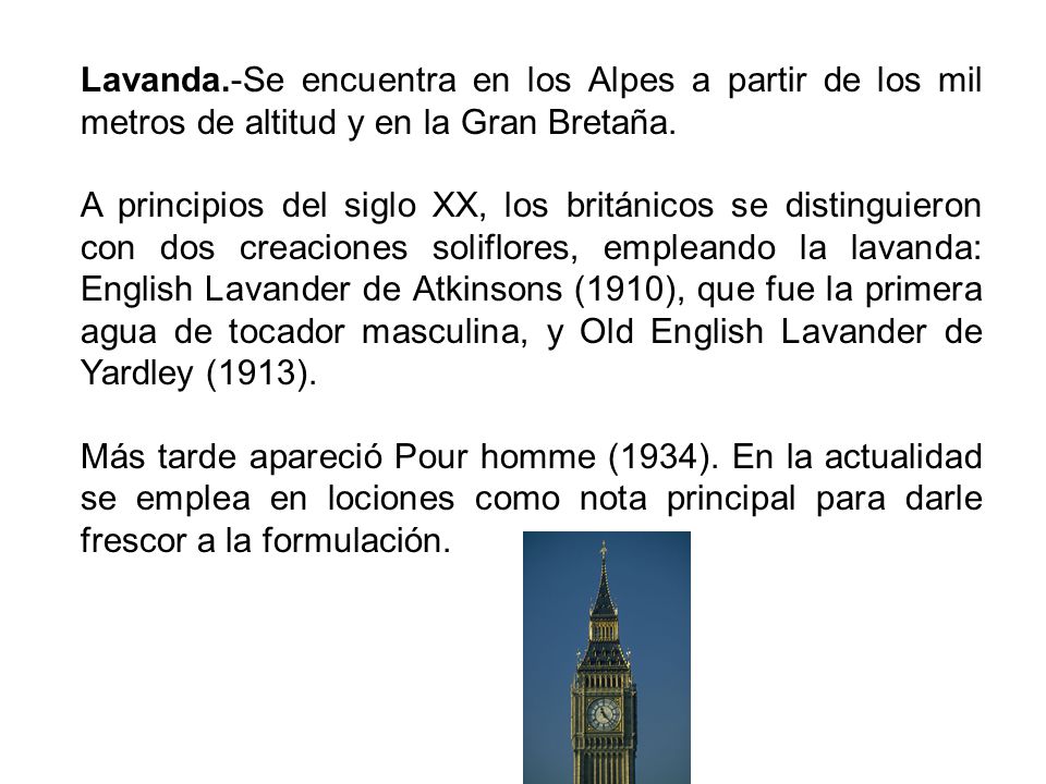 Lavanda.-Se encuentra en los Alpes a partir de los mil metros de altitud y en la Gran Bretaña.