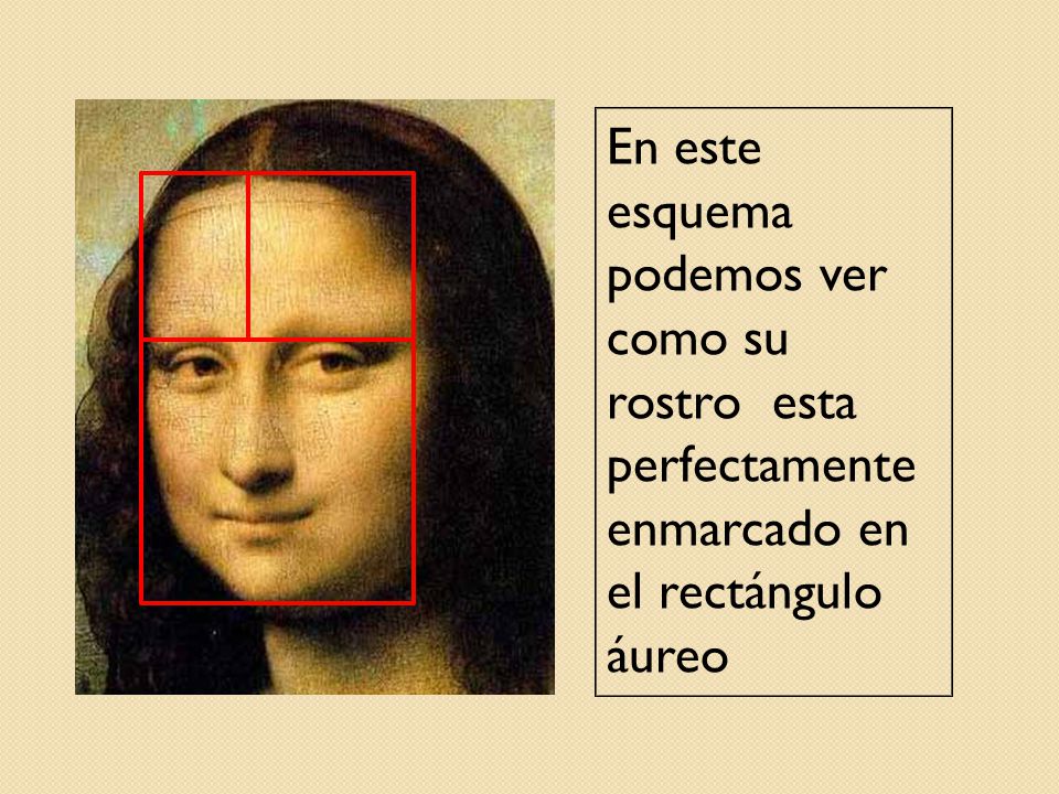 En este esquema podemos ver como su rostro esta perfectamente enmarcado en el rectángulo áureo