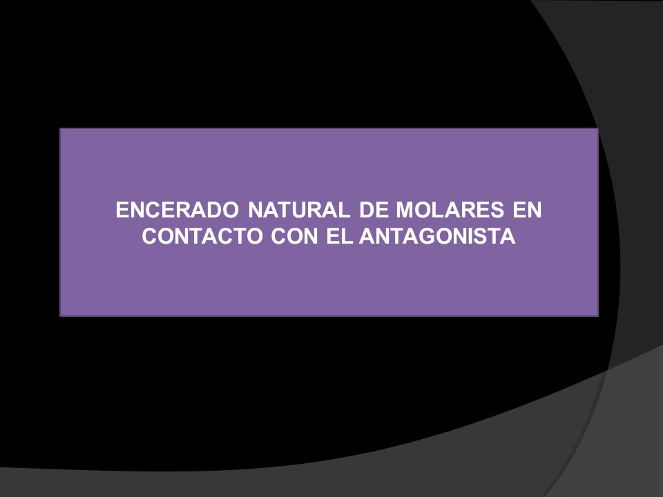 ENCERADO NATURAL DE MOLARES EN CONTACTO CON EL ANTAGONISTA