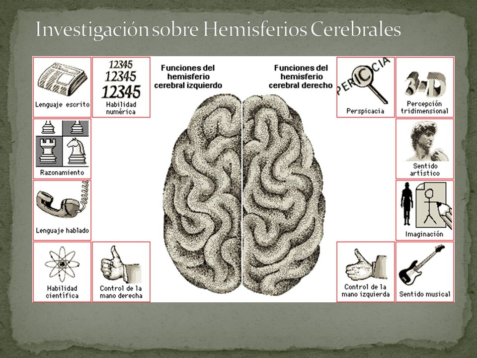 Investigación sobre Hemisferios Cerebrales