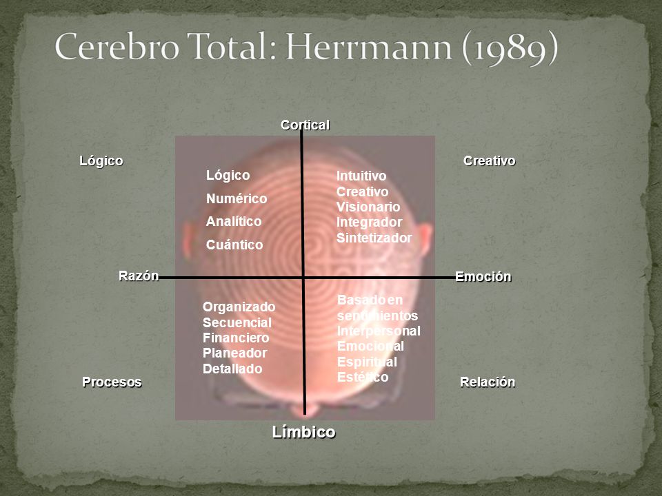 Cerebro Total: Herrmann (1989)