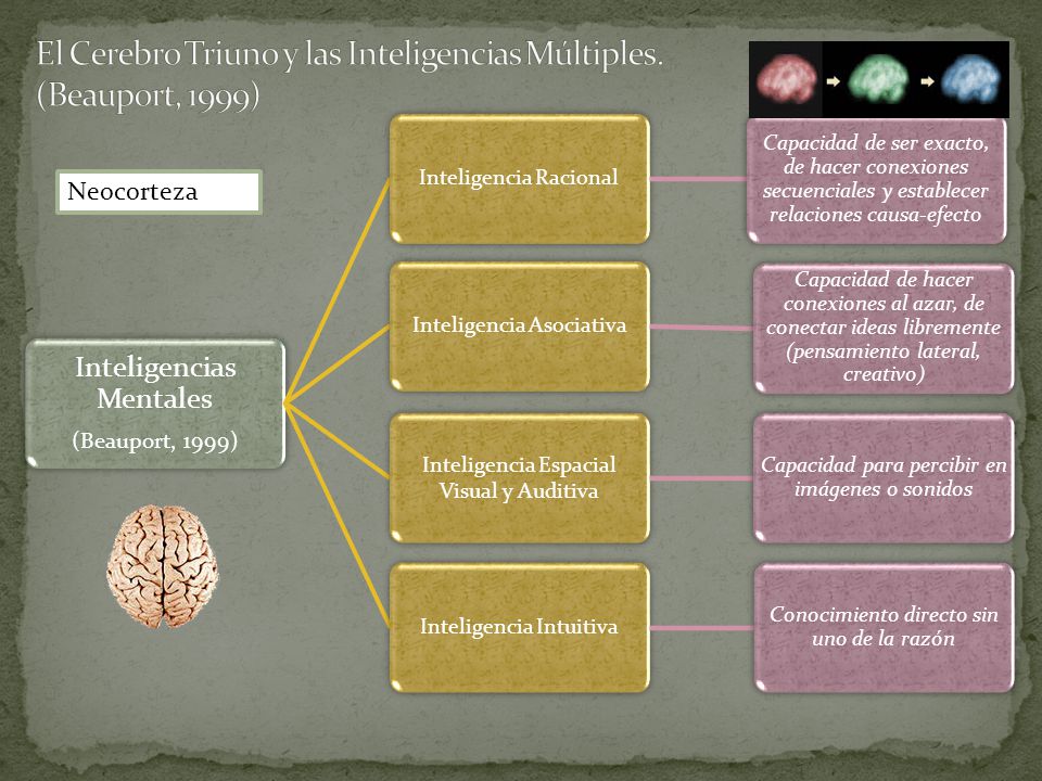 El Cerebro Triuno y las Inteligencias Múltiples. (Beauport, 1999)