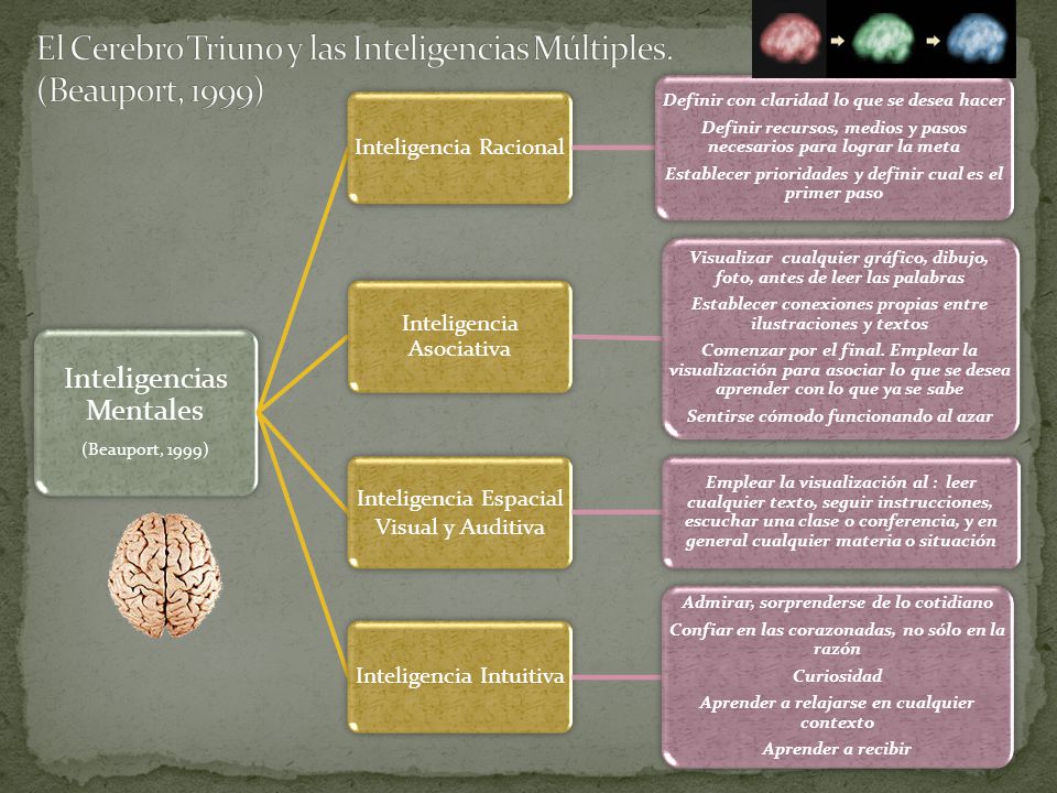 El Cerebro Triuno y las Inteligencias Múltiples. (Beauport, 1999)