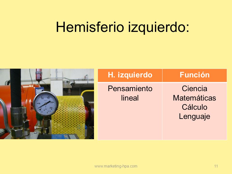 Hemisferio izquierdo: