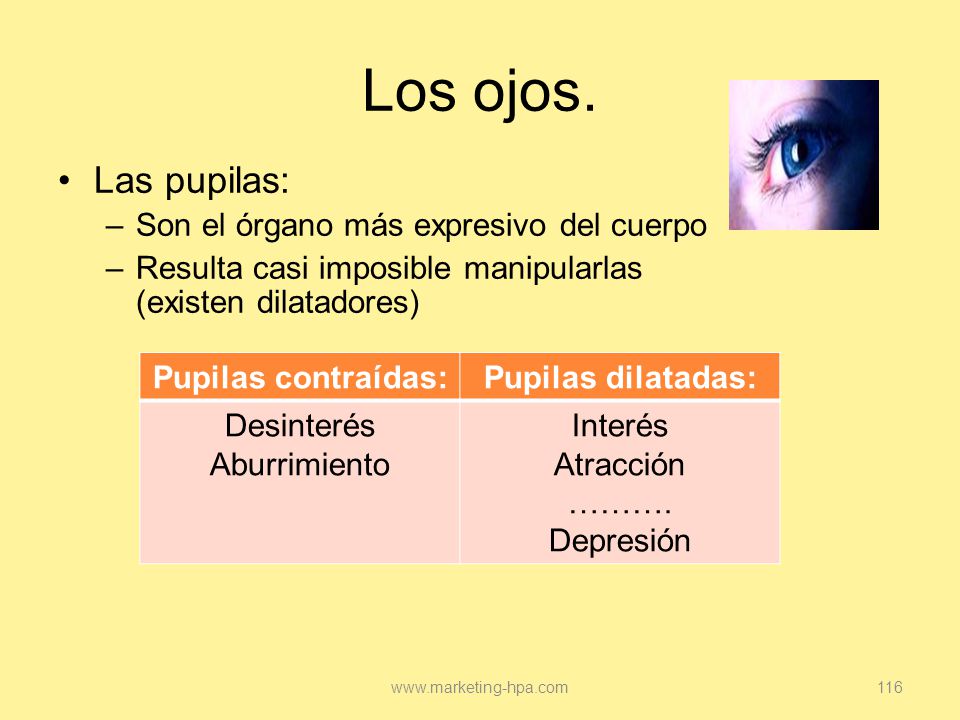 Los ojos. Las pupilas: Son el órgano más expresivo del cuerpo