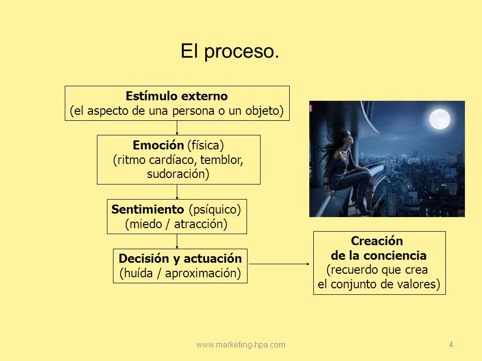 El proceso. Estímulo externo (el aspecto de una persona o un objeto)