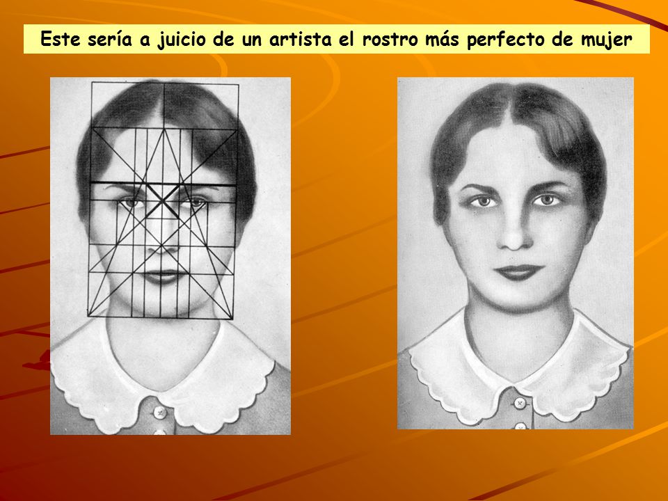 Este sería a juicio de un artista el rostro más perfecto de mujer