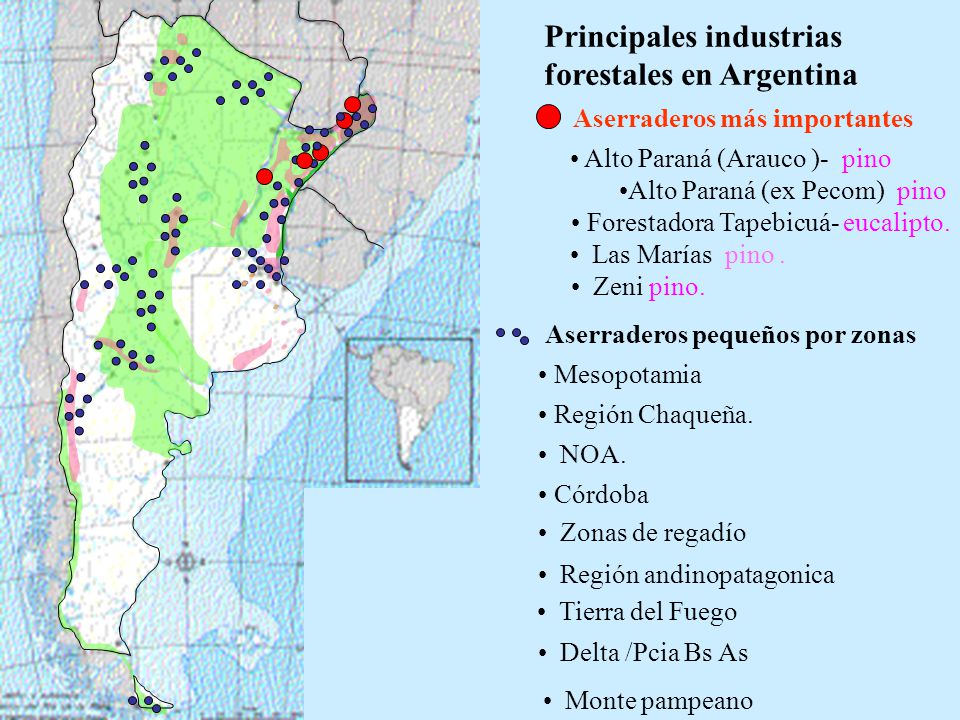 MERCADO NACIONAL DE PRODUCTOS FORESTALES