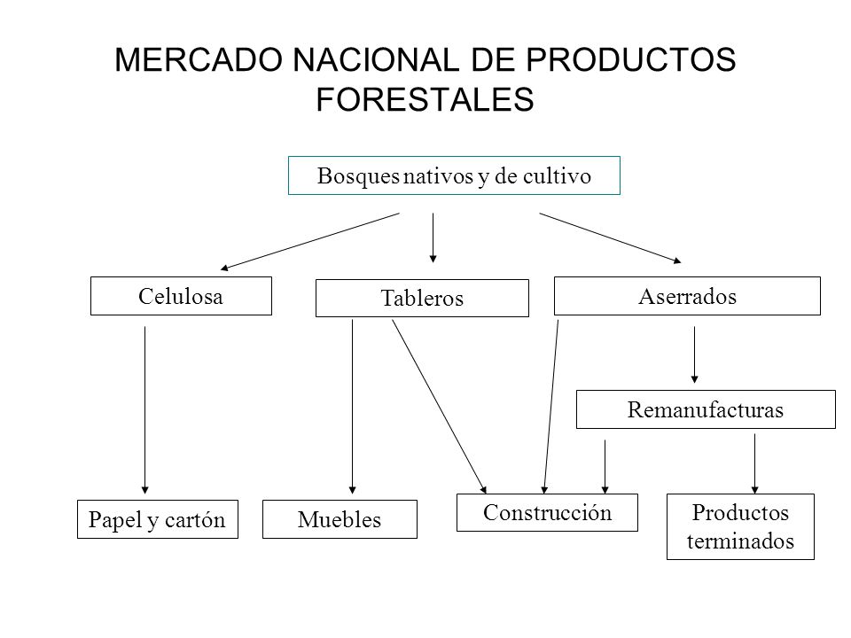 MERCADO NACIONAL DE PRODUCTOS FORESTALES